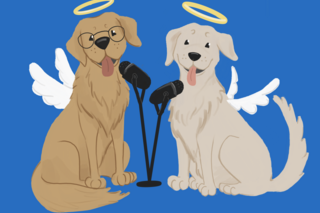 2 dogs with halos